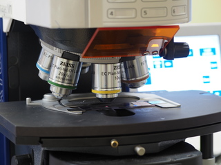 Microscopio Zeiss con fluorescencia